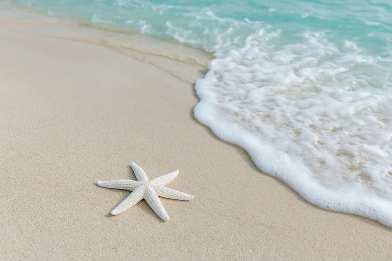 White starfish resting on sandy beach near gentle ocean wave with foam