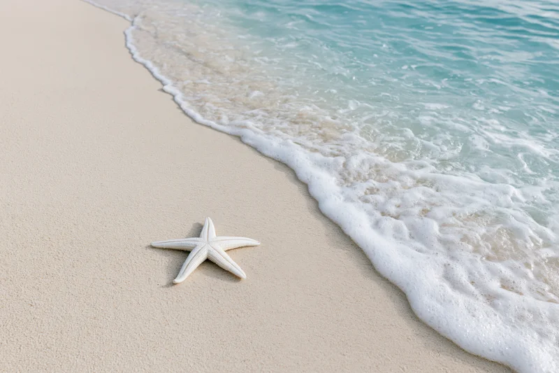 White starfish resting on sandy beach near gentle ocean waves