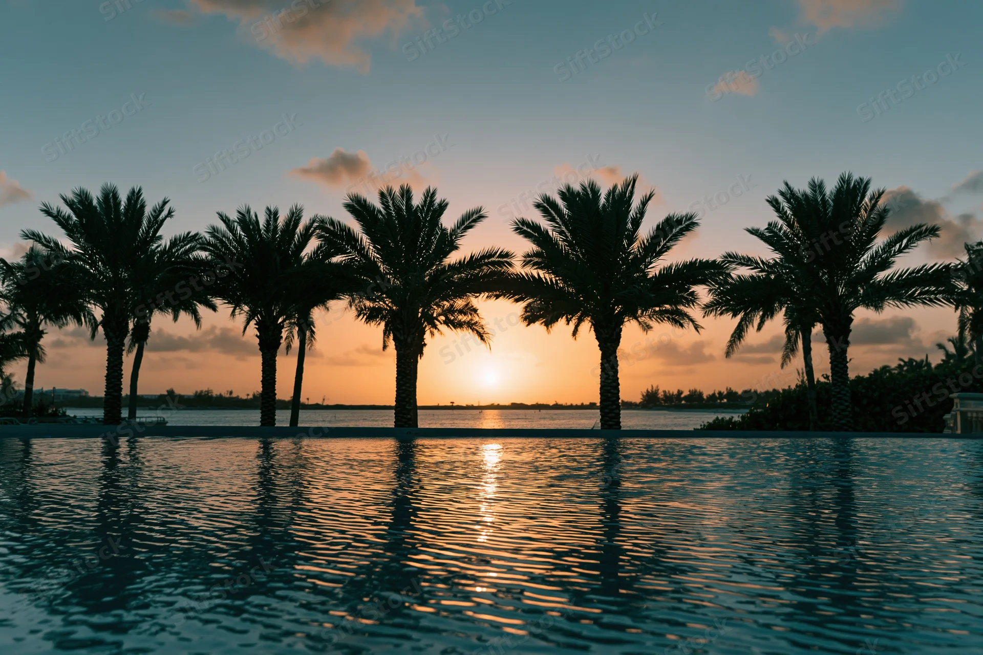 Palm trees silhouetted against a sunset over a calm pool reflecting the sky and ocean
