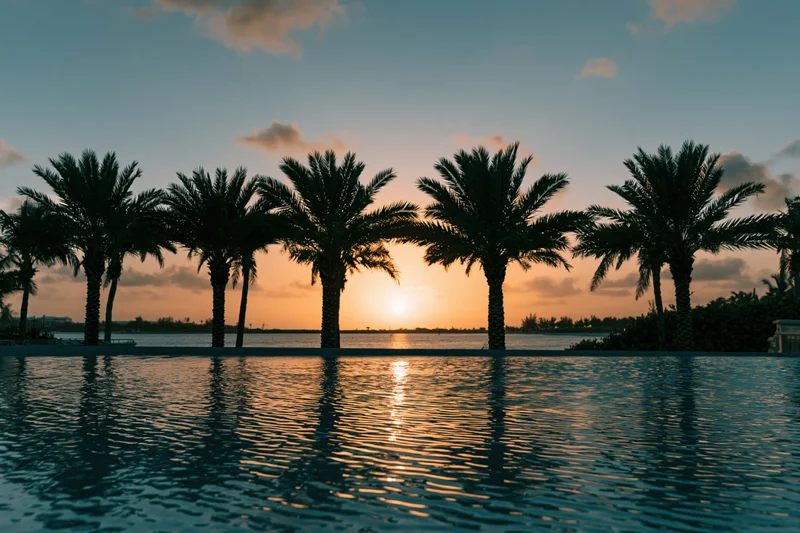 Palm trees silhouetted against a sunset over a calm pool reflecting the sky and ocean