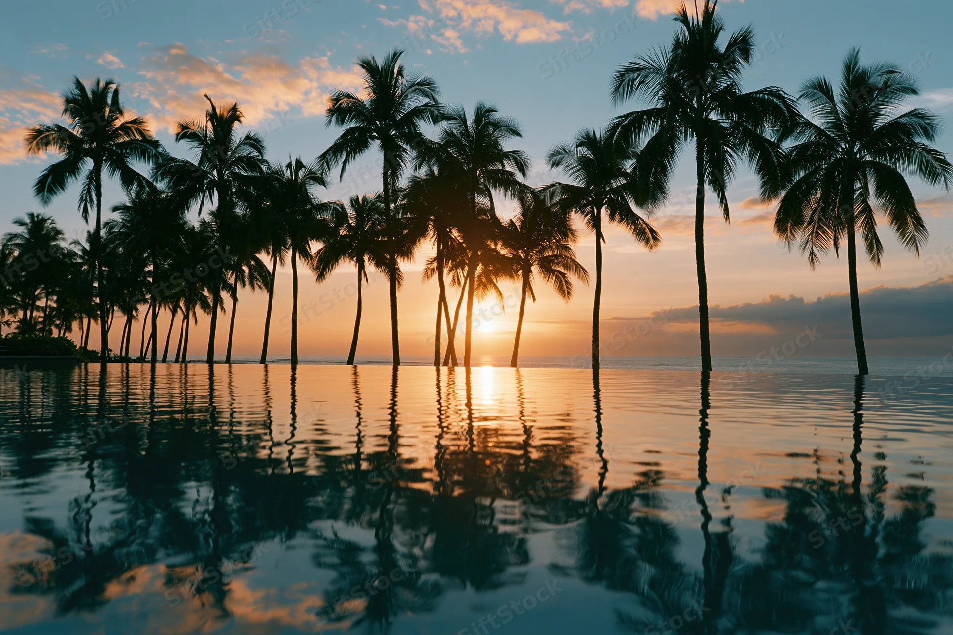 Palm trees silhouetted against a sunset over calm ocean water with reflections