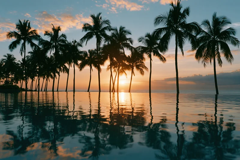 Palm trees silhouetted against a sunset over calm ocean water with reflections