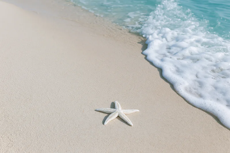 White starfish resting on sandy beach near gentle ocean wave