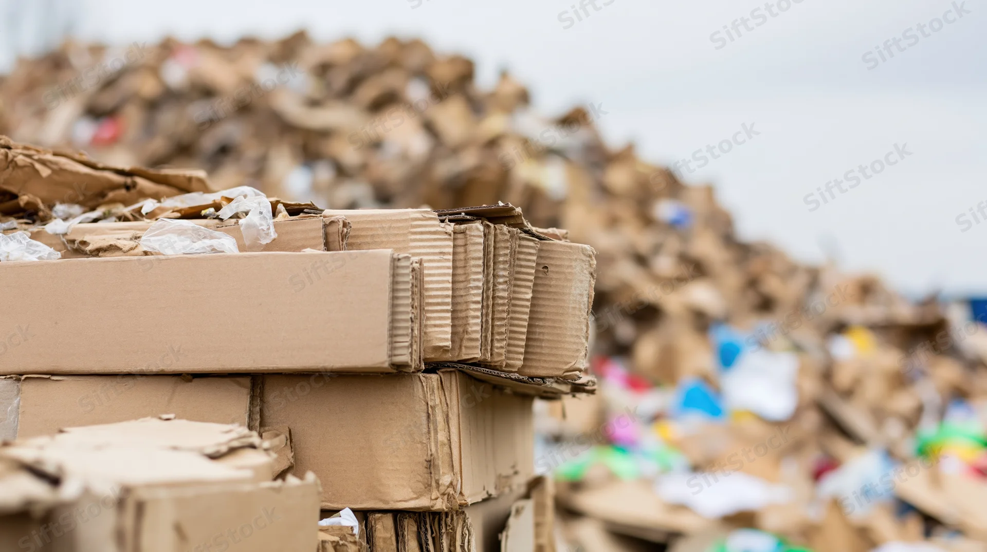 Stacked cardboard boxes in a recycling facility with blurred waste pile in background