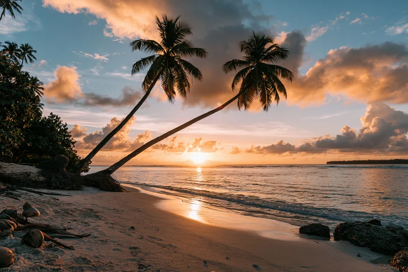 Palm trees silhouetted at sunset on a sandy tropical beach with ocean waves and colorful sky
