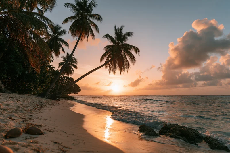 Sunset over tropical beach with palm trees and ocean waves at dusk