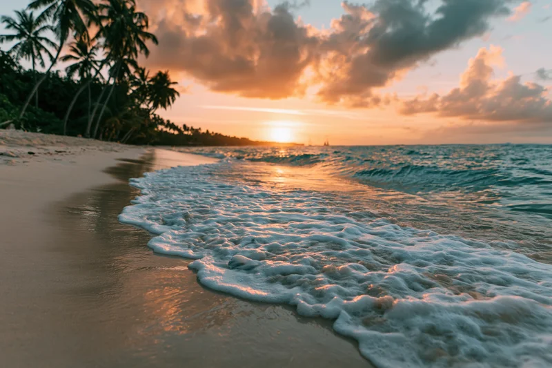 Waves with foam rolling onto sandy beach at sunset under palm trees