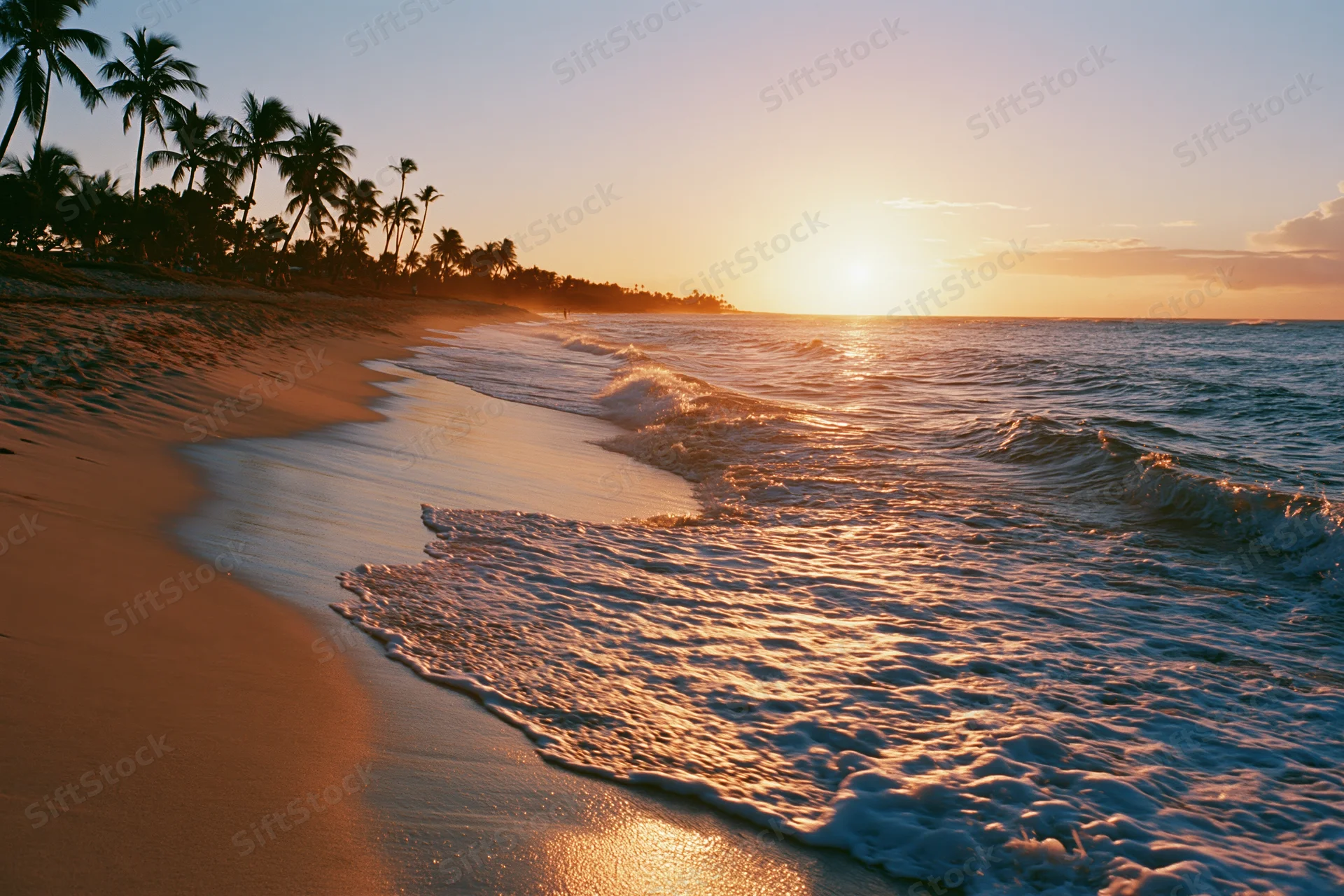 Waves rolling onto sandy beach at sunset with palm trees along the shore