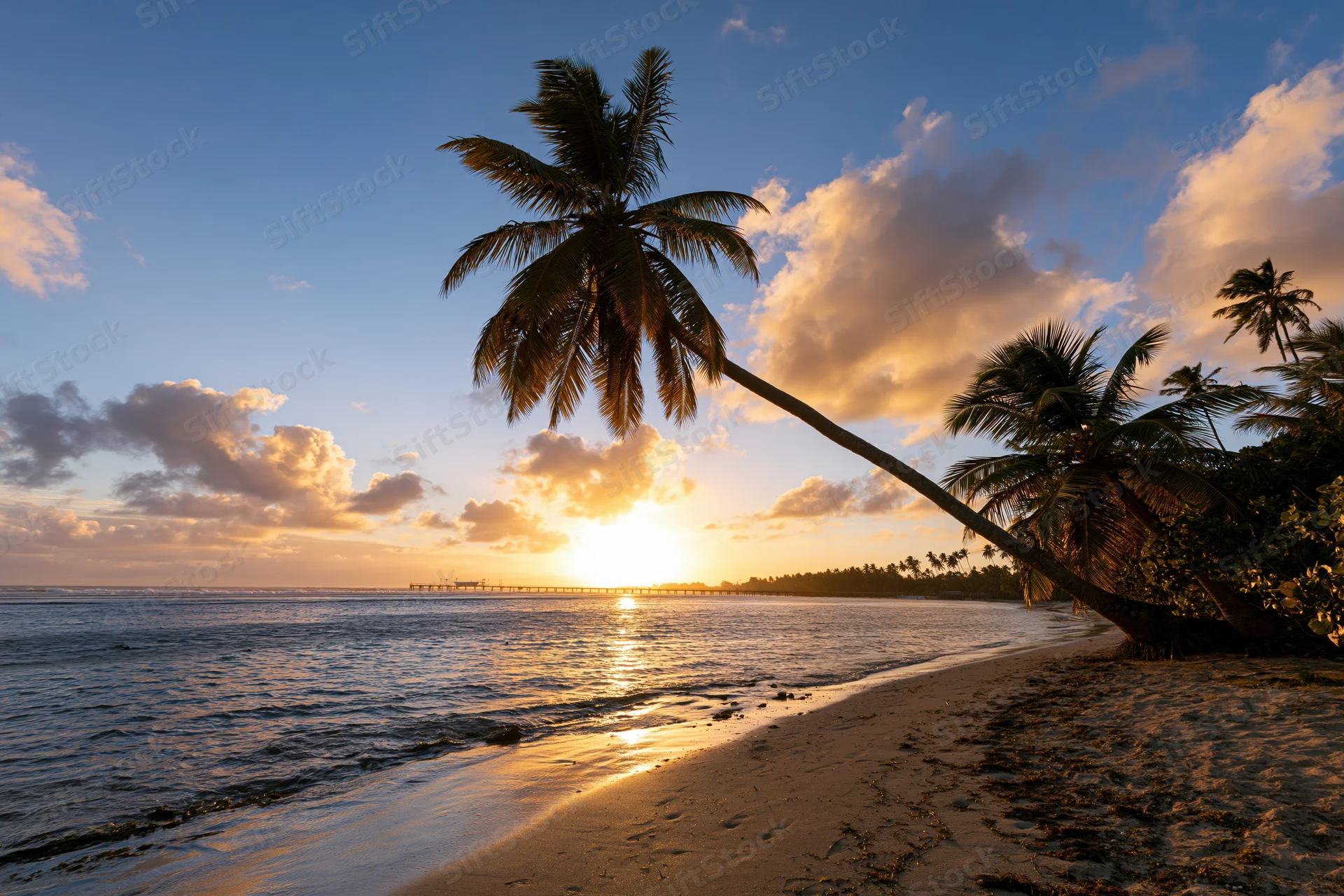 Palm tree leaning over sandy beach at sunset with ocean and clouds in background