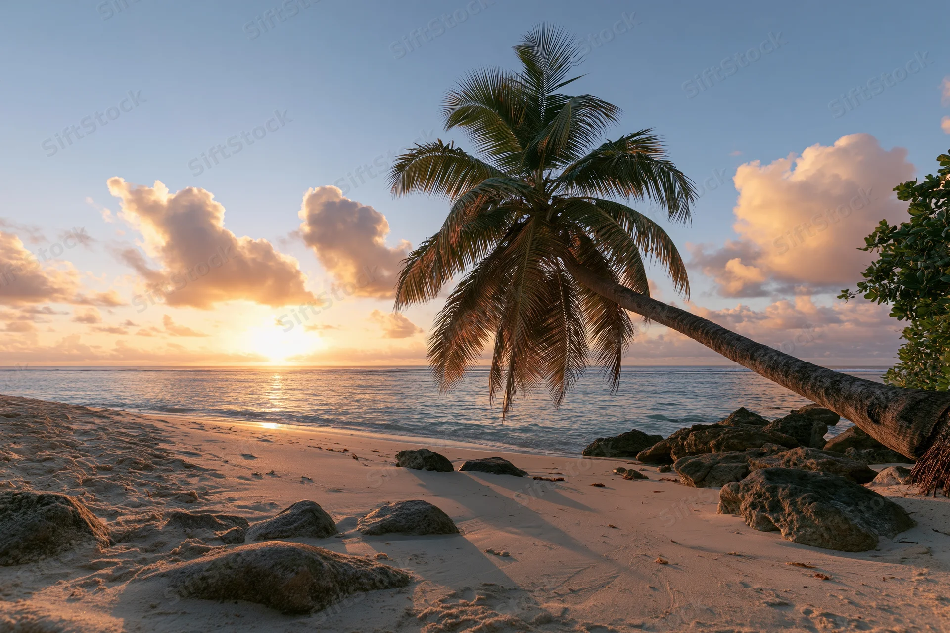 Palm tree leaning over sandy beach at sunset with ocean and clouds in background