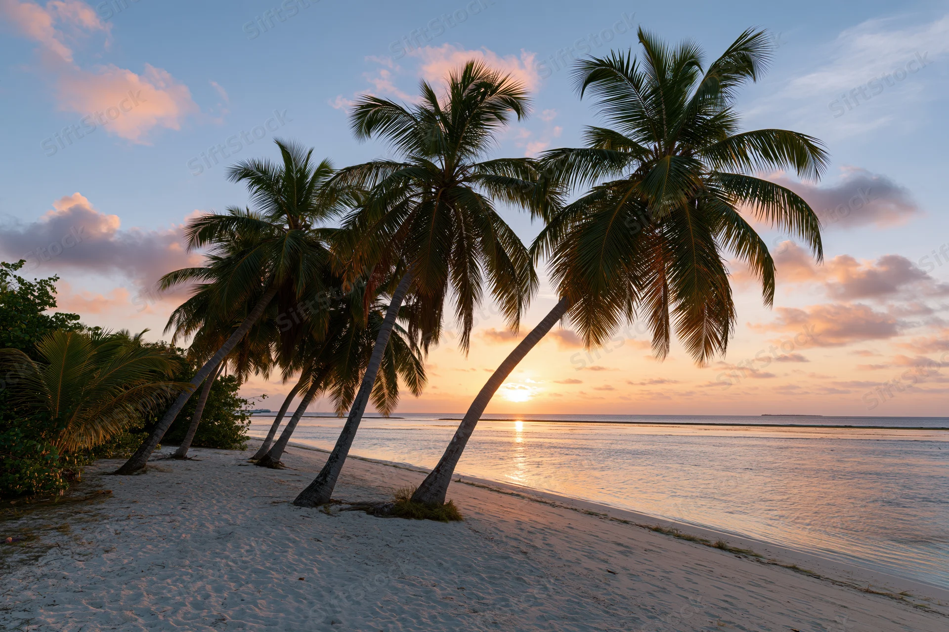 Palm trees leaning over a sandy beach at sunset with ocean and sky in the background