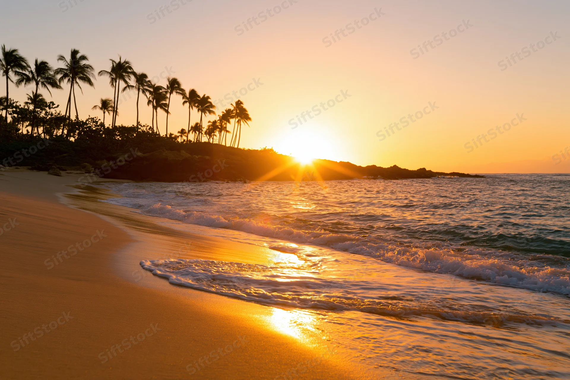 Sunset over a tropical beach with palm trees and waves rolling onto the sand