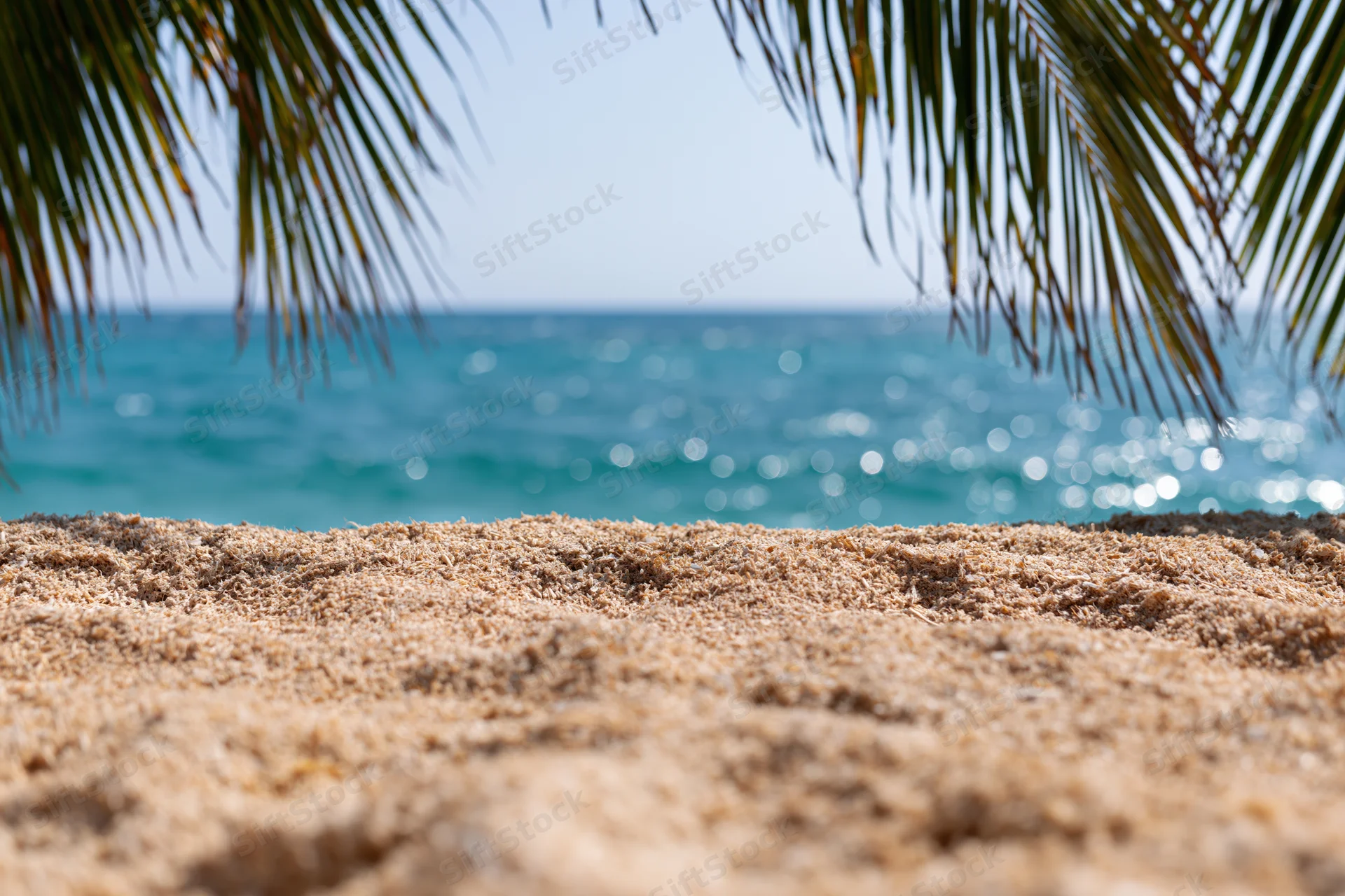 Sandy beach foreground with palm fronds framing turquoise ocean view