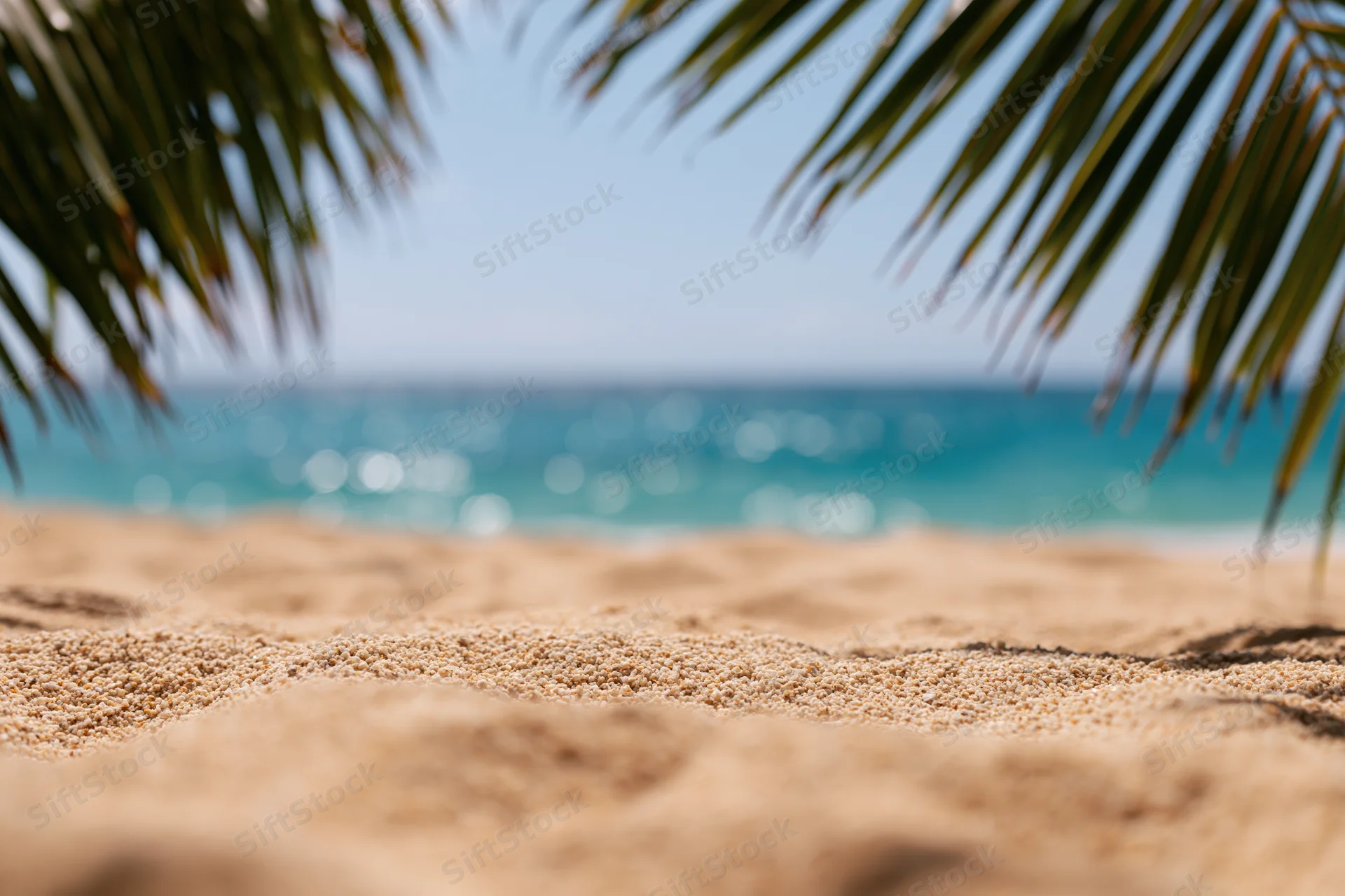 Sandy beach under palm fronds with ocean in background