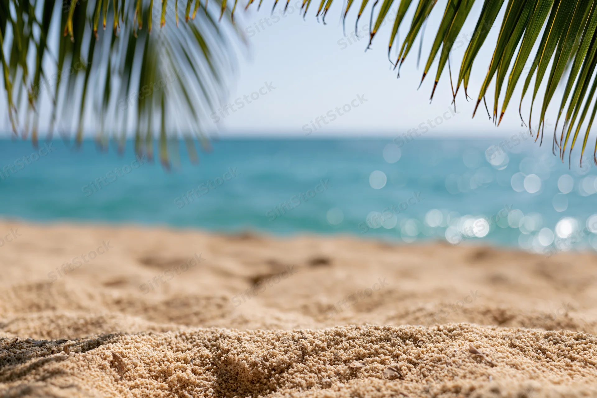 Sandy beach under palm fronds with ocean in background