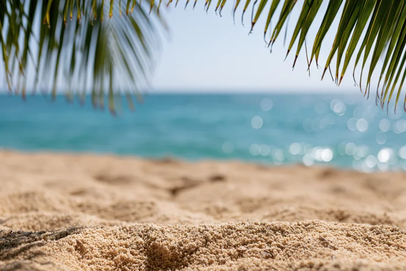Sandy beach under palm fronds with ocean in background