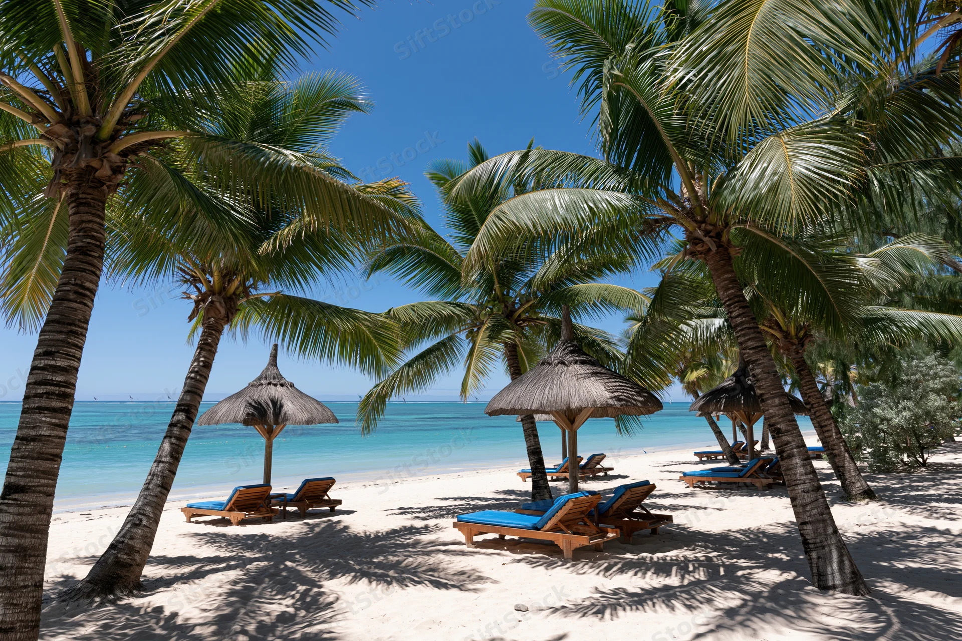 Palm trees and lounge chairs under thatched umbrellas on a sandy beach beside turquoise ocean