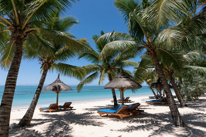 Palm trees and lounge chairs under thatched umbrellas on a sandy beach beside turquoise ocean