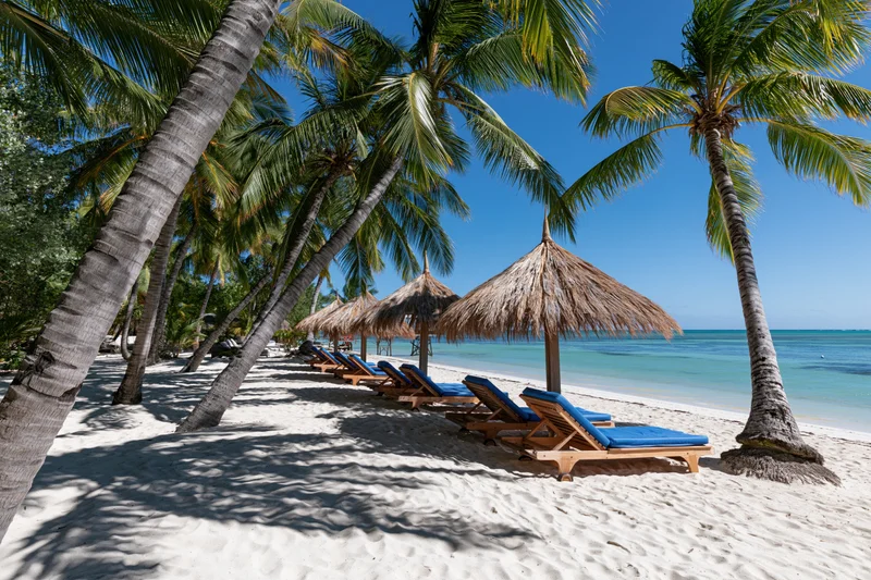 Row of lounge chairs under thatched umbrellas and palm trees on a sandy beach beside turquoise ocean