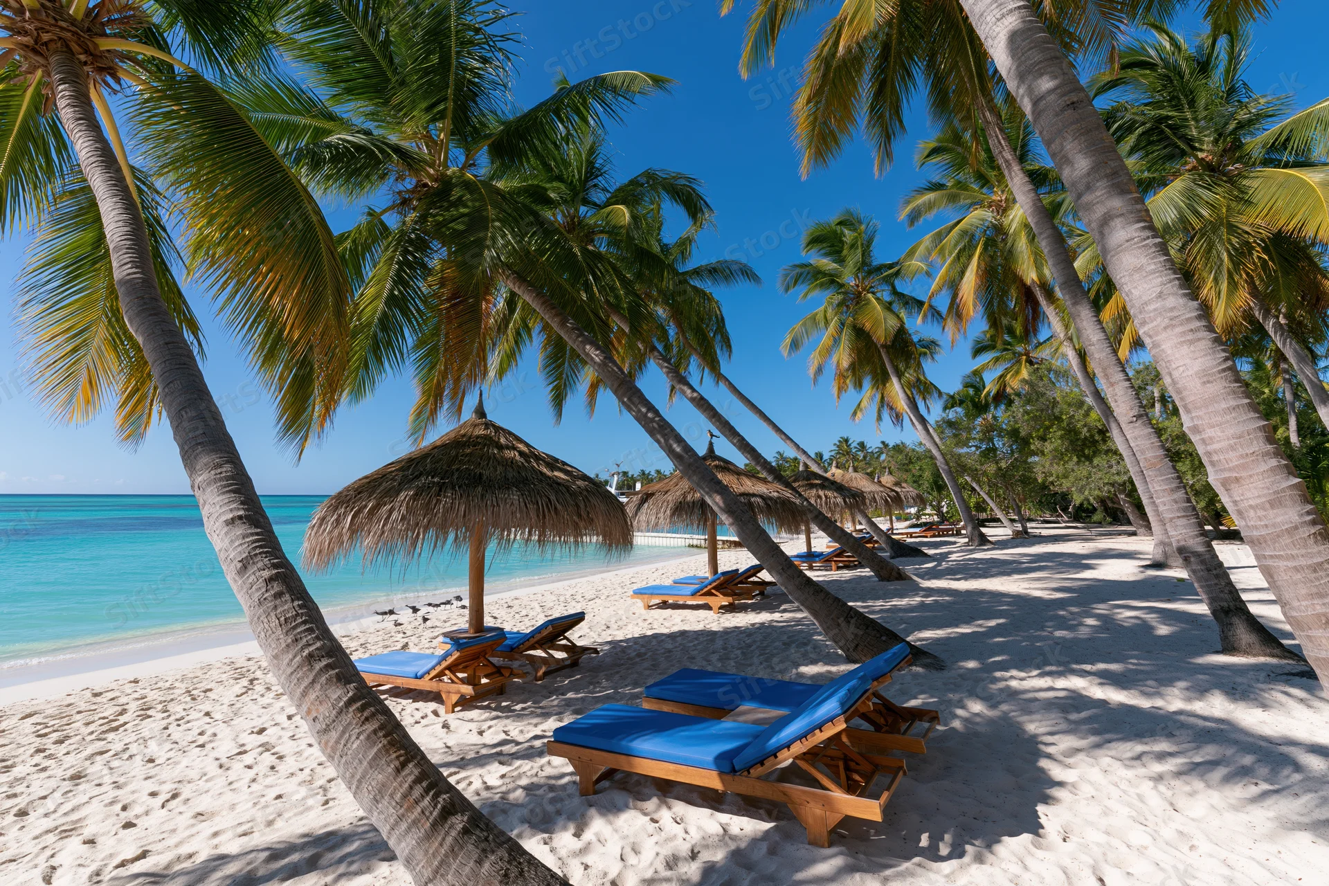 Tropical beach with palm trees and blue lounge chairs under thatched umbrellas on white sand near turquoise ocean