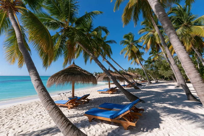 Tropical beach with palm trees and blue lounge chairs under thatched umbrellas on white sand near turquoise ocean