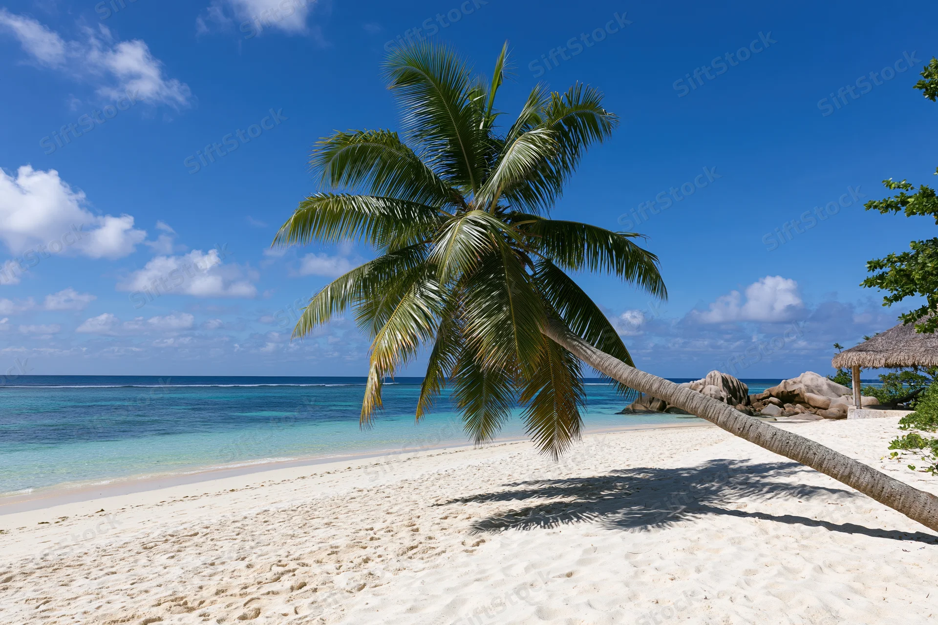 Palm tree leaning over white sand beach beside turquoise ocean under blue sky