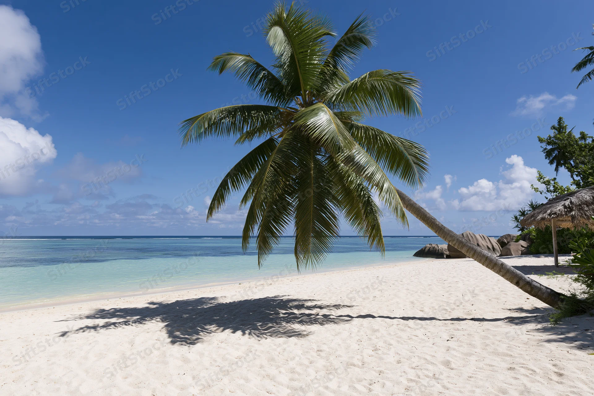 Leaning palm tree on white sand beach beside turquoise ocean under blue sky