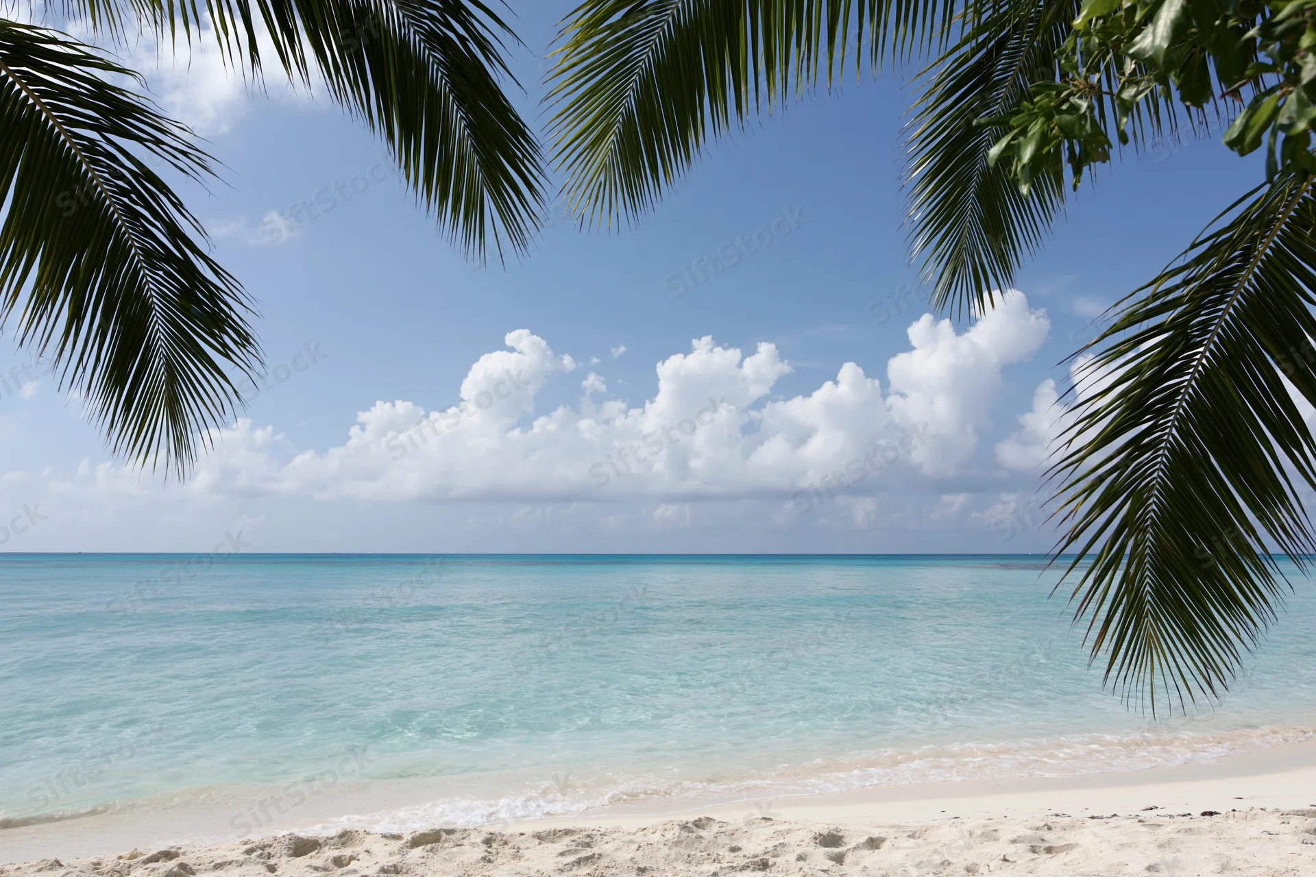 Tropical beach framed by palm fronds under a blue sky with white clouds above turquoise ocean water meeting white sand shore