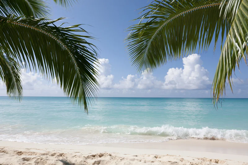 Palm fronds framing a turquoise ocean view from a sandy beach under a blue sky with white clouds