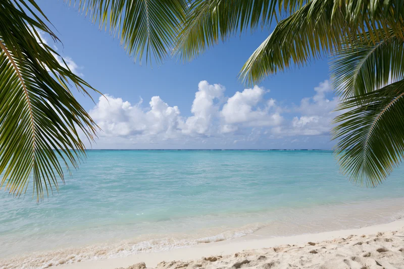 Tropical beach with palm fronds framing turquoise ocean under blue sky with white clouds