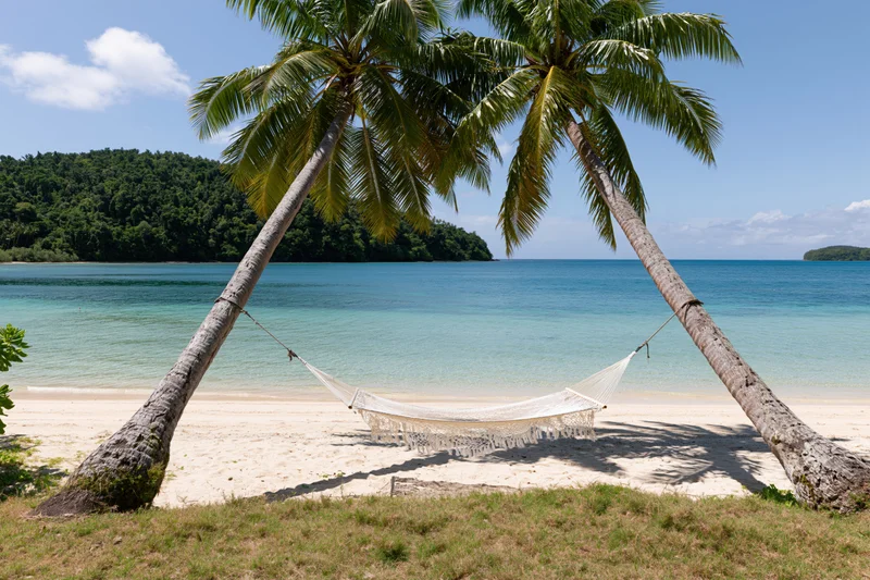 White hammock strung between two palm trees on a sandy beach overlooking turquoise ocean