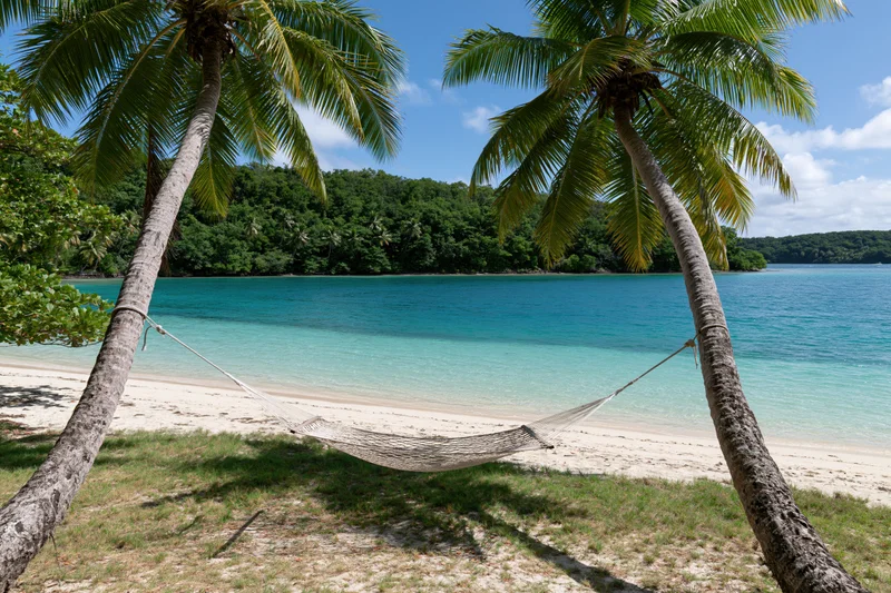 Hammock strung between two palm trees on a sandy beach beside turquoise ocean water