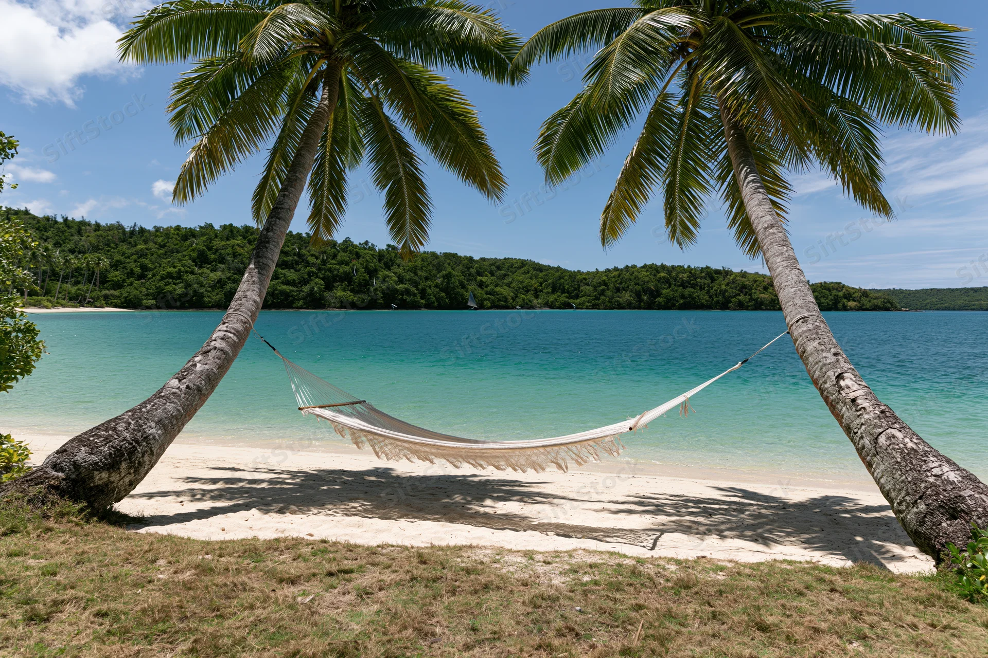 Hammock strung between two palm trees on a sandy beach overlooking turquoise ocean water