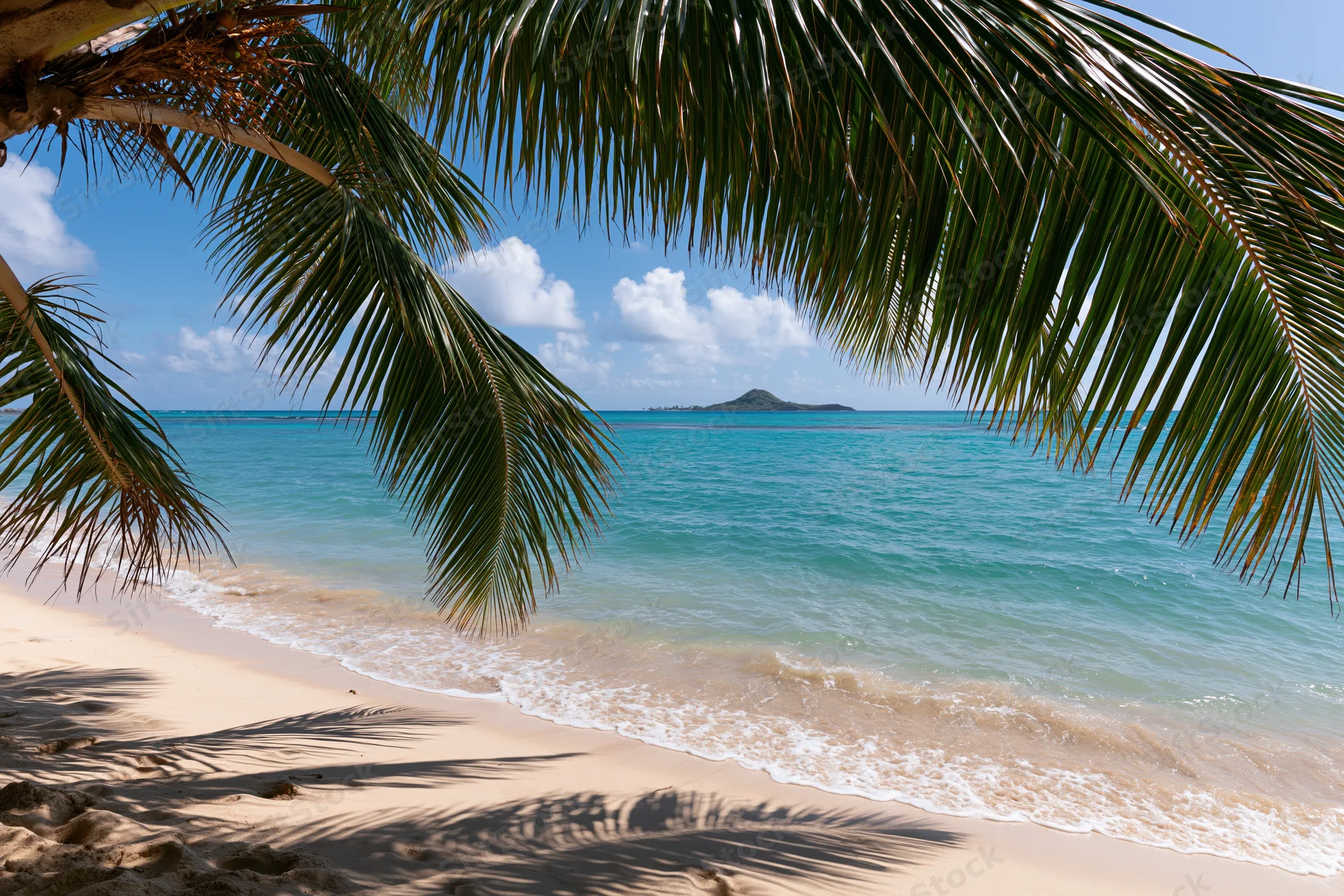Palm fronds framing a sandy beach with turquoise ocean waves and distant island under blue sky
