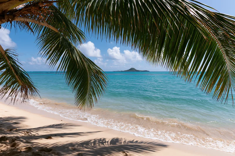 Palm fronds framing a sandy beach with turquoise ocean waves and distant island under blue sky
