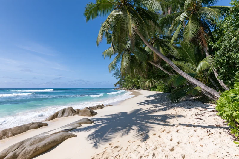 Tropical beach with palm trees and turquoise ocean waves rolling onto white sand shore