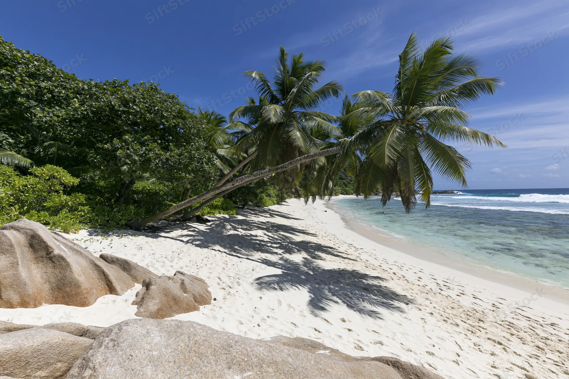 Tropical beach with palm trees and white sand beside turquoise ocean
