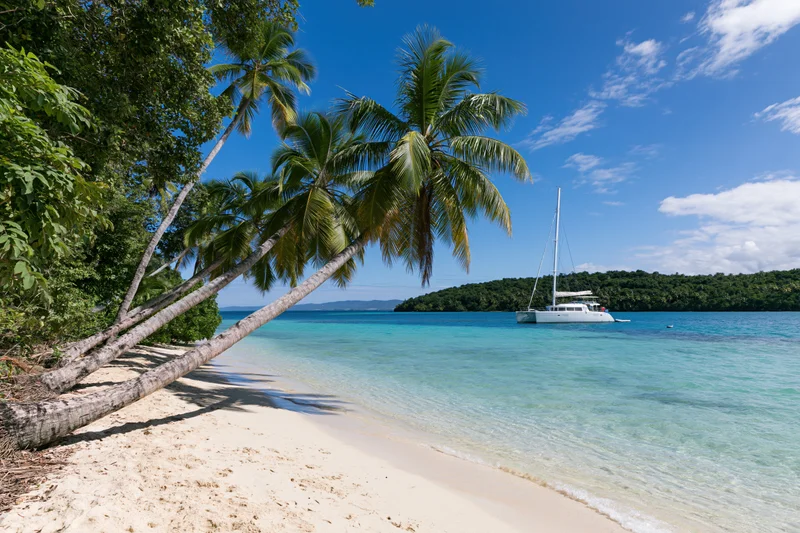 Tropical beach with palm trees and a catamaran anchored in turquoise water near a jungle-covered island