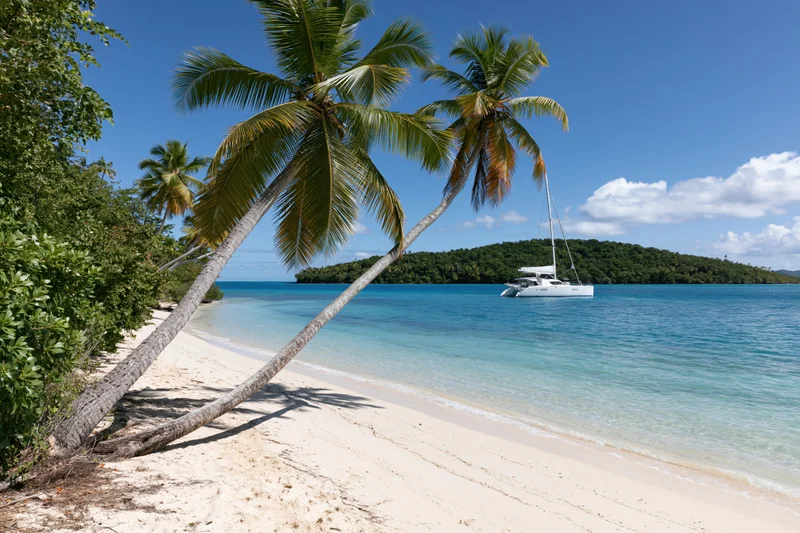 Palm trees leaning over white sand beach with catamaran anchored in turquoise water near tropical island