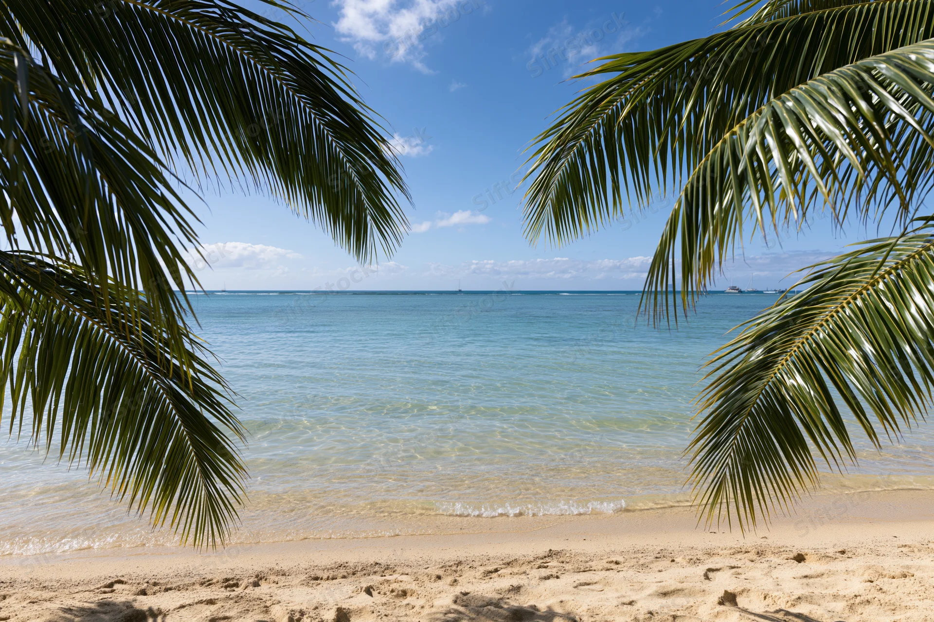 Tropical beach framed by palm fronds with calm ocean and clear blue sky