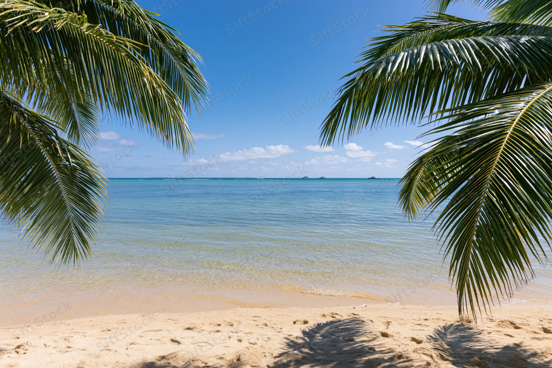 Palm fronds framing a sandy beach with calm turquoise ocean under a blue sky
