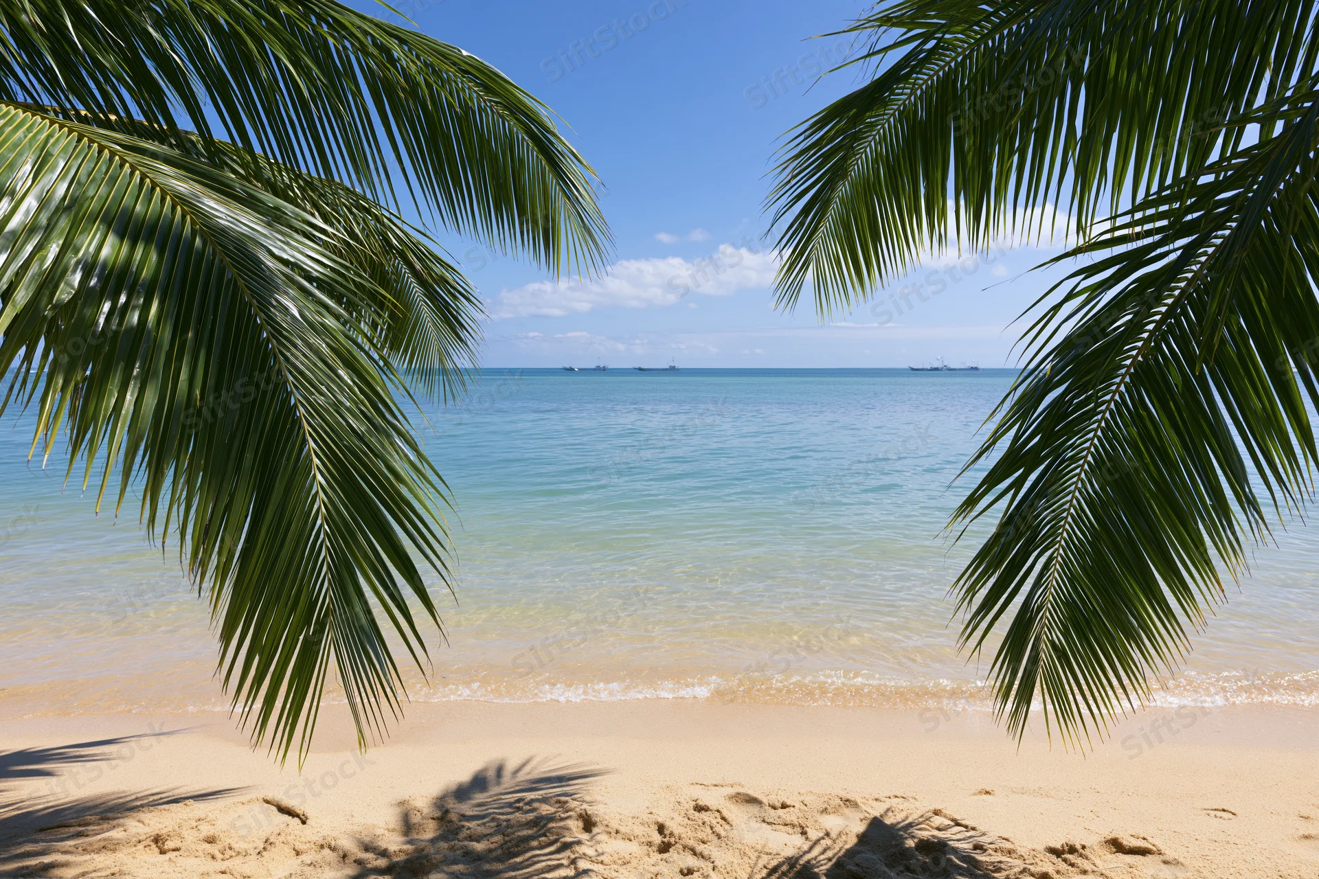 Palm fronds framing a sandy beach with calm ocean and distant ships under a blue sky