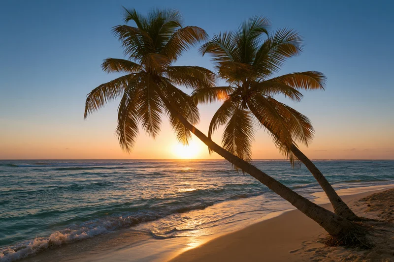 Two palm trees leaning over a sandy beach at sunset with ocean waves and golden sky