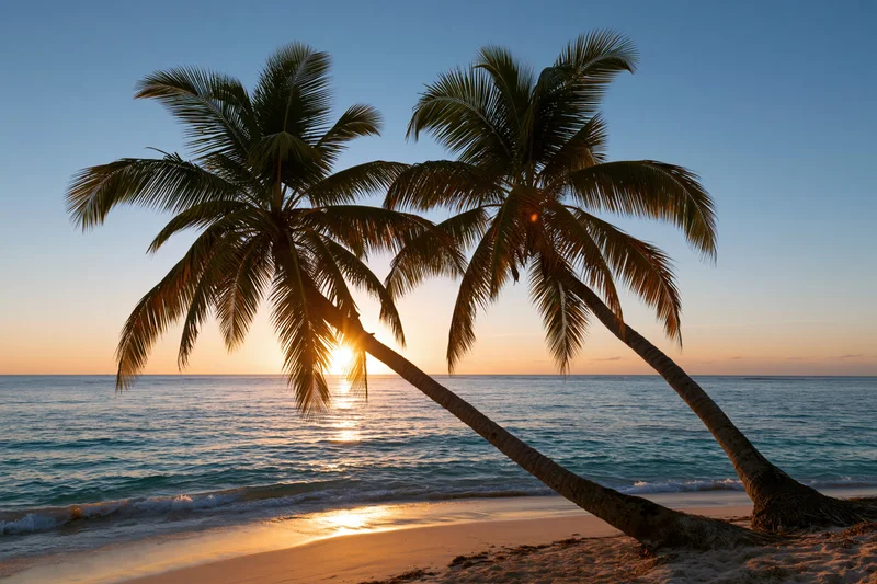 Two palm trees leaning over a sandy beach at sunset with ocean waves and golden sky