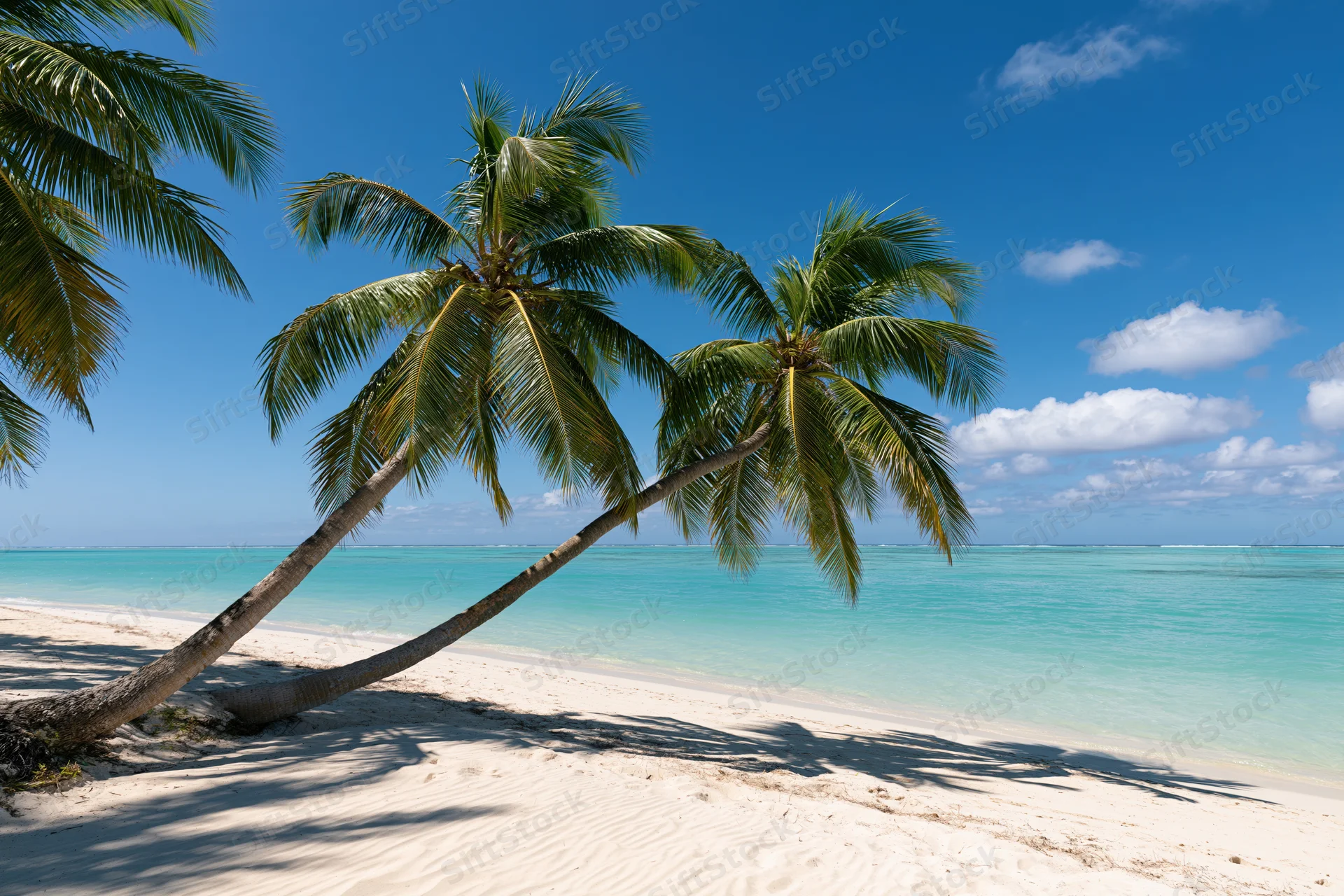 Palm trees leaning over white sand beach beside turquoise ocean under clear blue sky
