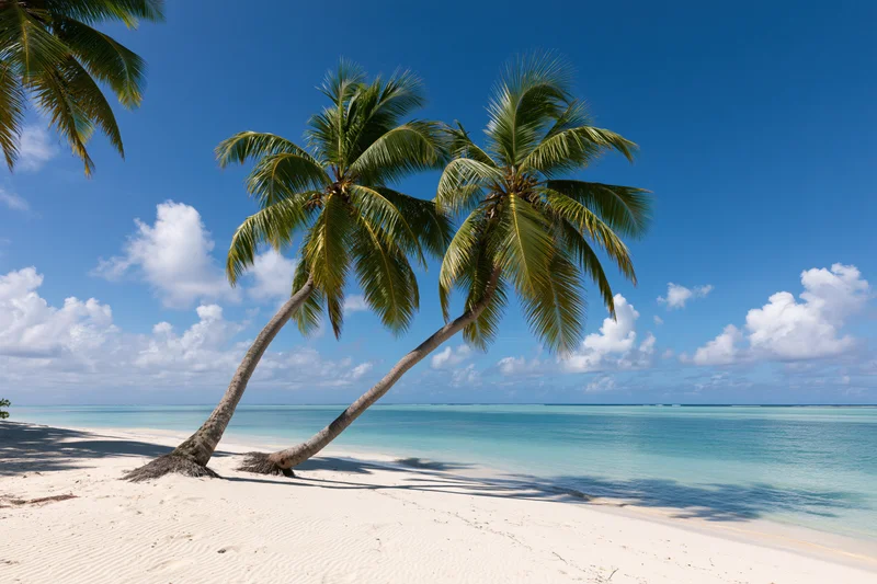 Two leaning palm trees on a white sand beach beside turquoise ocean under blue sky with clouds