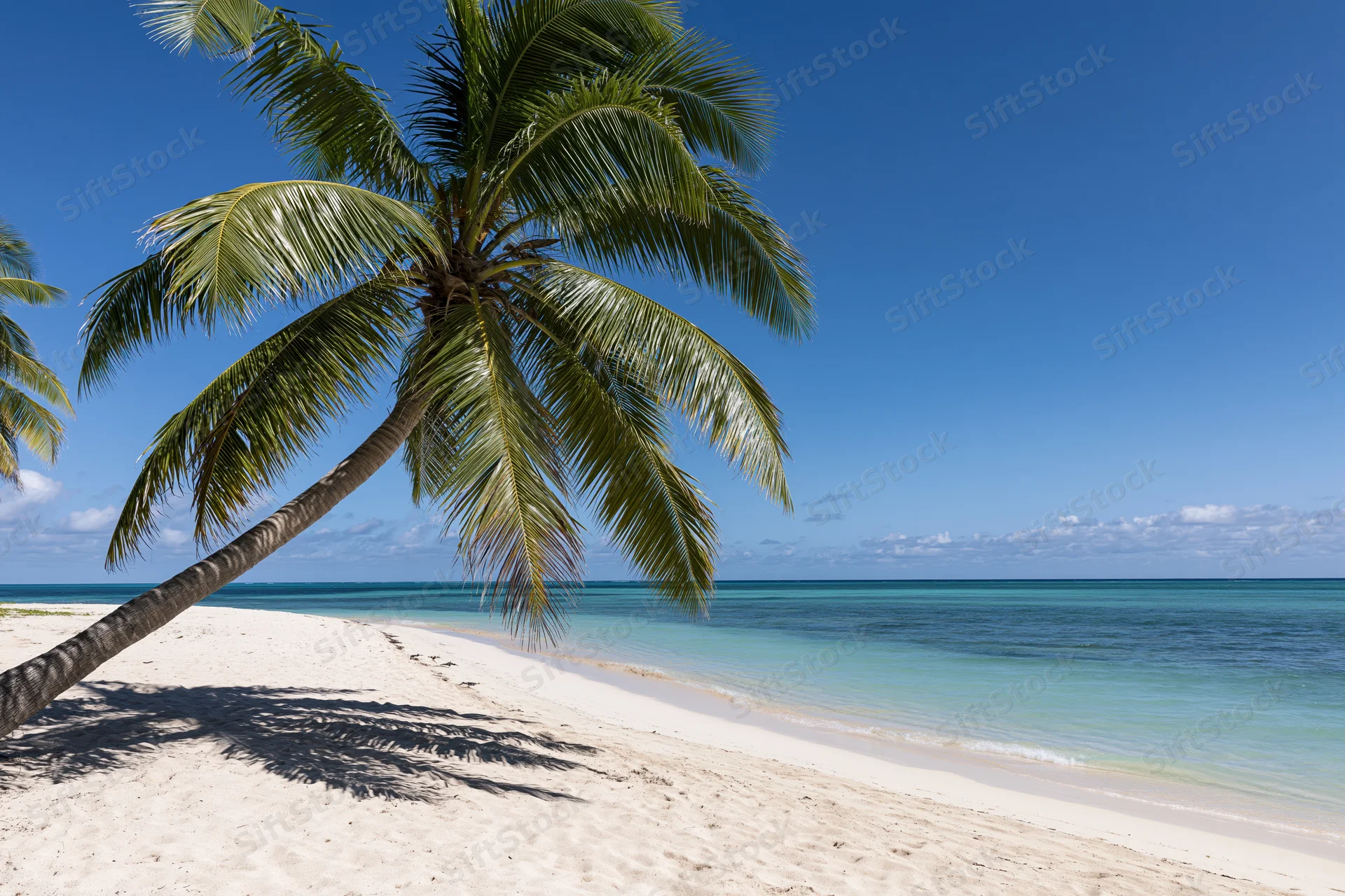 Palm tree leaning over white sand beach beside turquoise ocean under clear blue sky