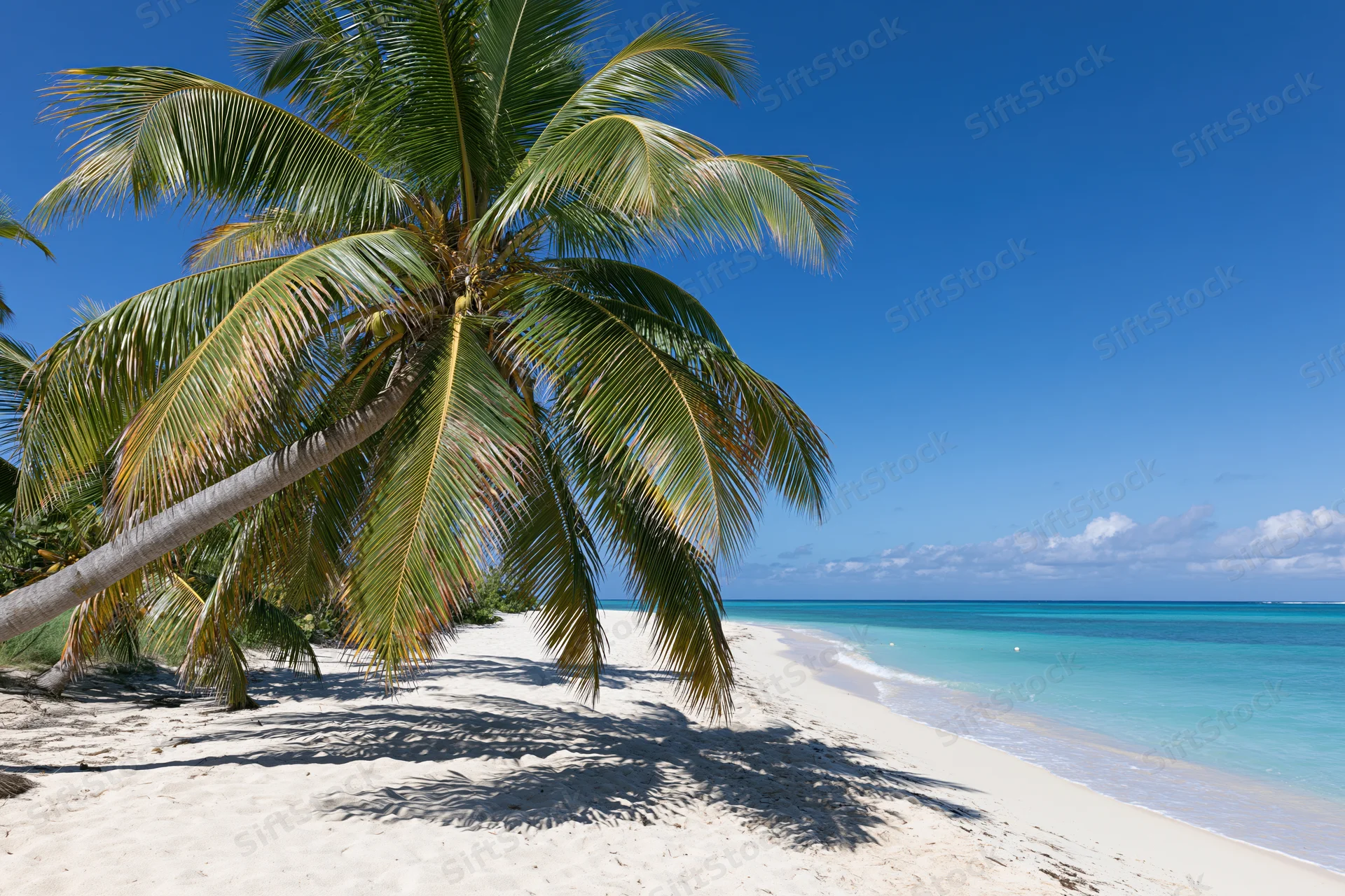 Palm tree leaning over white sand beach beside turquoise ocean under clear blue sky