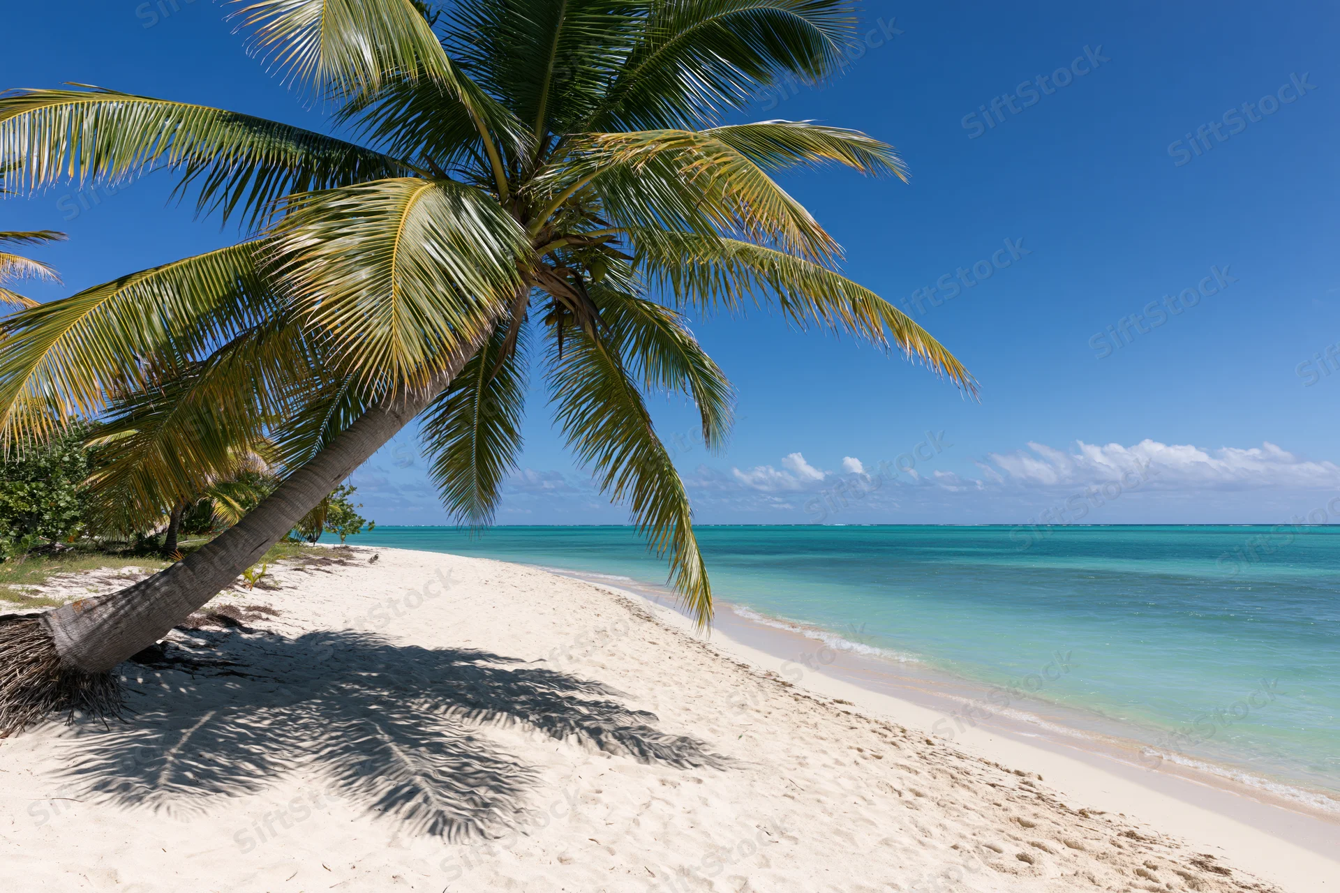 Palm tree leaning on white sand beach beside turquoise ocean under clear blue sky