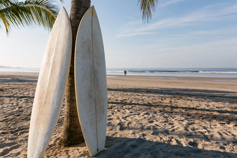 Two surfboards leaning against a palm tree on a sandy beach near the ocean